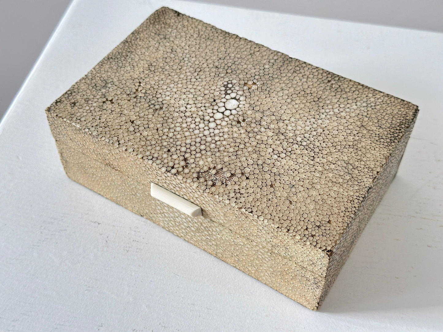 1920s – Art Deco Shagreen Galuchat Box